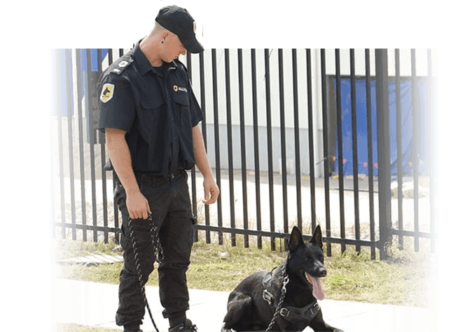 Mason with German Sheperd guard dog on job site
