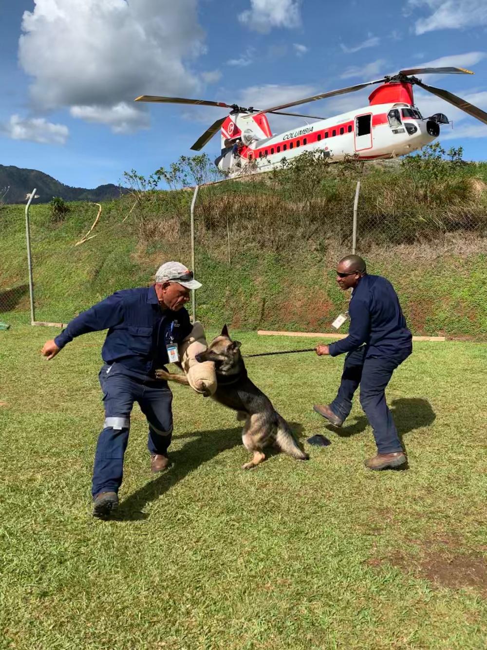 security dog handler training